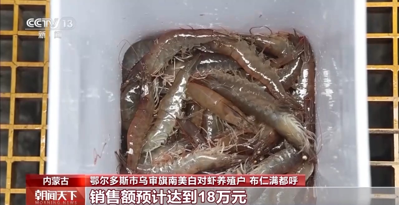 大市场 大活力丨“五一”假日餐桌海鲜热度揭秘 生蚝如何抢“鲜”出发? 大市场 大活力丨“五一”假日餐桌海鲜热度揭秘 生蚝如何抢“鲜”出发?