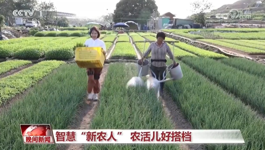 智能小车、外骨骼装备、采茶机器人 科技助力让农活儿变得更轻松 智能小车、外骨骼装备、采茶机器人 科技助力让农活儿变得更轻松