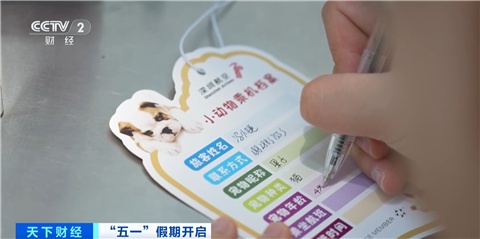 多家航司推出宠物进客舱服务 多家航司推出宠物进客舱服务