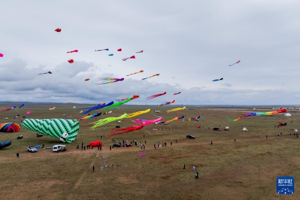 走，去草原上放风筝