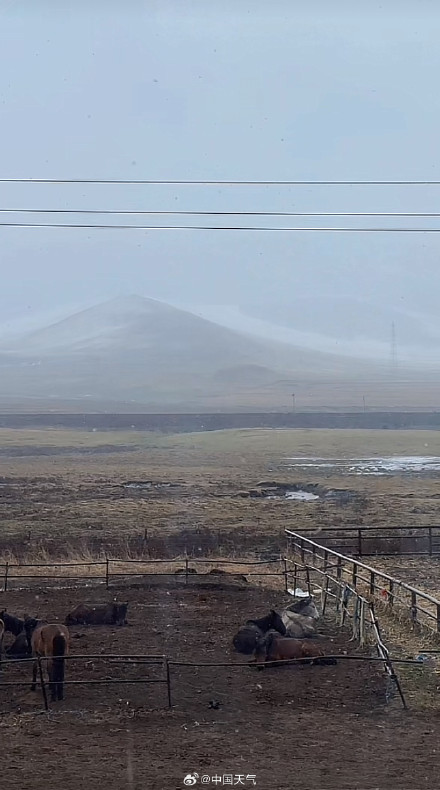 张家口5月还能看雪 张家口5月还能看雪