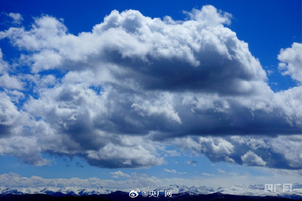 青海门源云海雪山同框好震撼 青海门源云海雪山同框好震撼