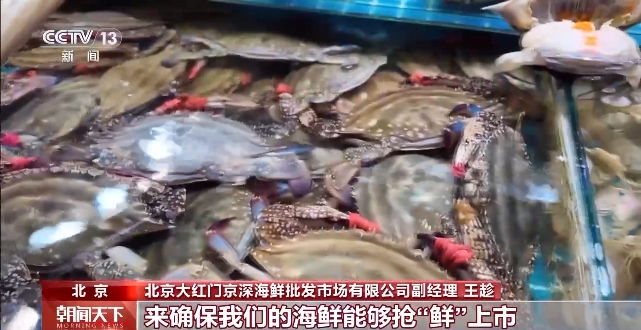 大市场 大活力丨“五一”假日餐桌海鲜热度揭秘 生蚝如何抢“鲜”出发? 大市场 大活力丨“五一”假日餐桌海鲜热度揭秘 生蚝如何抢“鲜”出发?