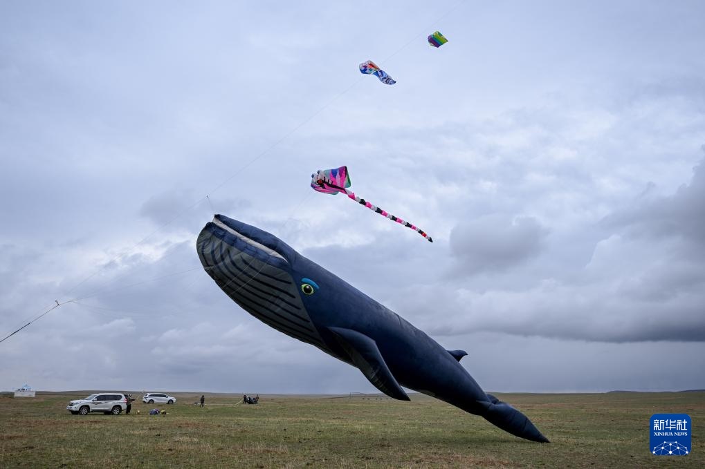 走，去草原上放风筝