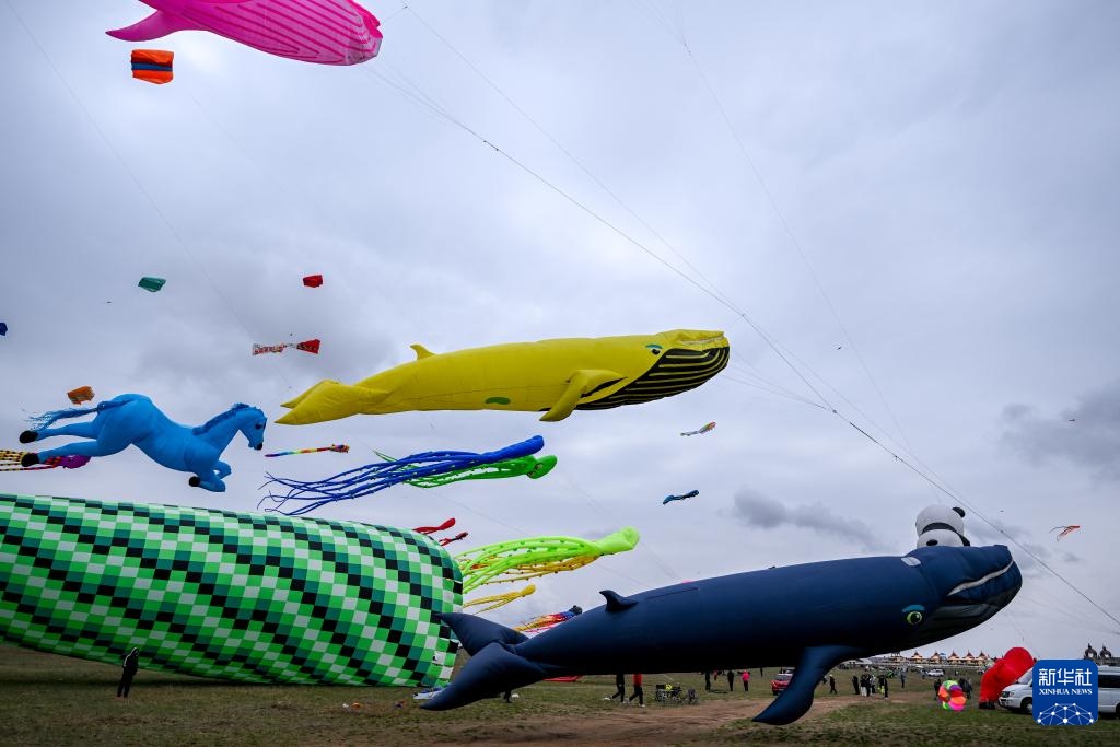 走，去草原上放风筝