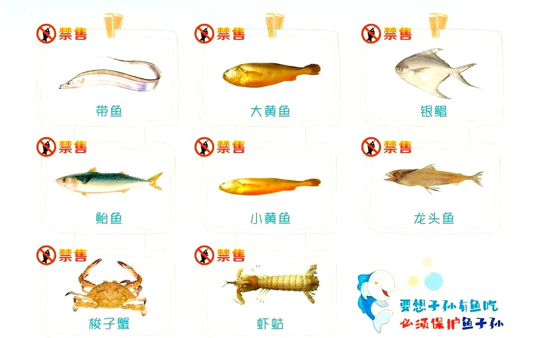 5月1日起浙江全面进入休渔期 8种海产品8日起禁售 5月1日起浙江全面进入休渔期 8种海产品8日起禁售