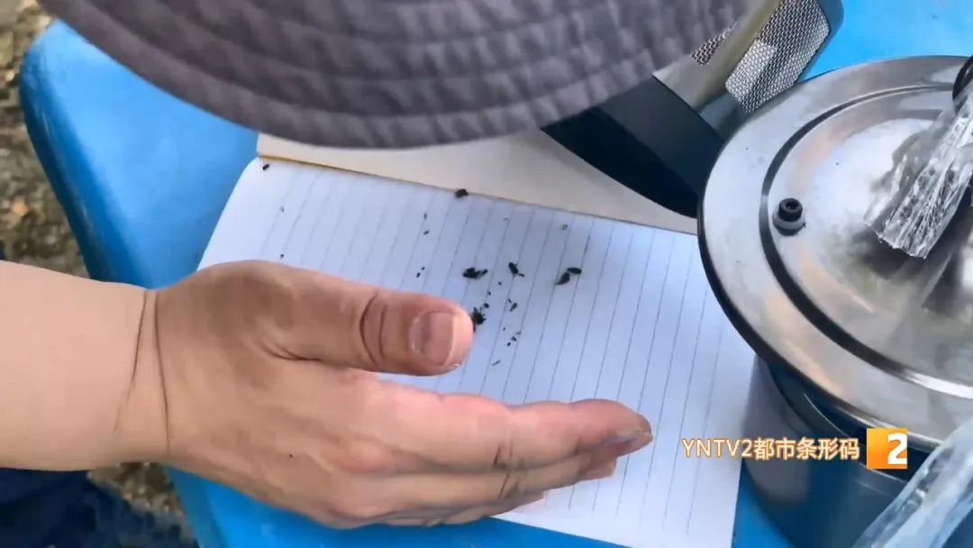 援缅日记：追捕“致命飞行者” 紫外灯下的安全防线