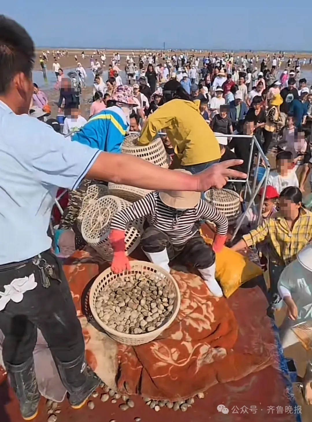 都不白来！景区怕游客赶海挖不到蛤蜊，日撒3000斤