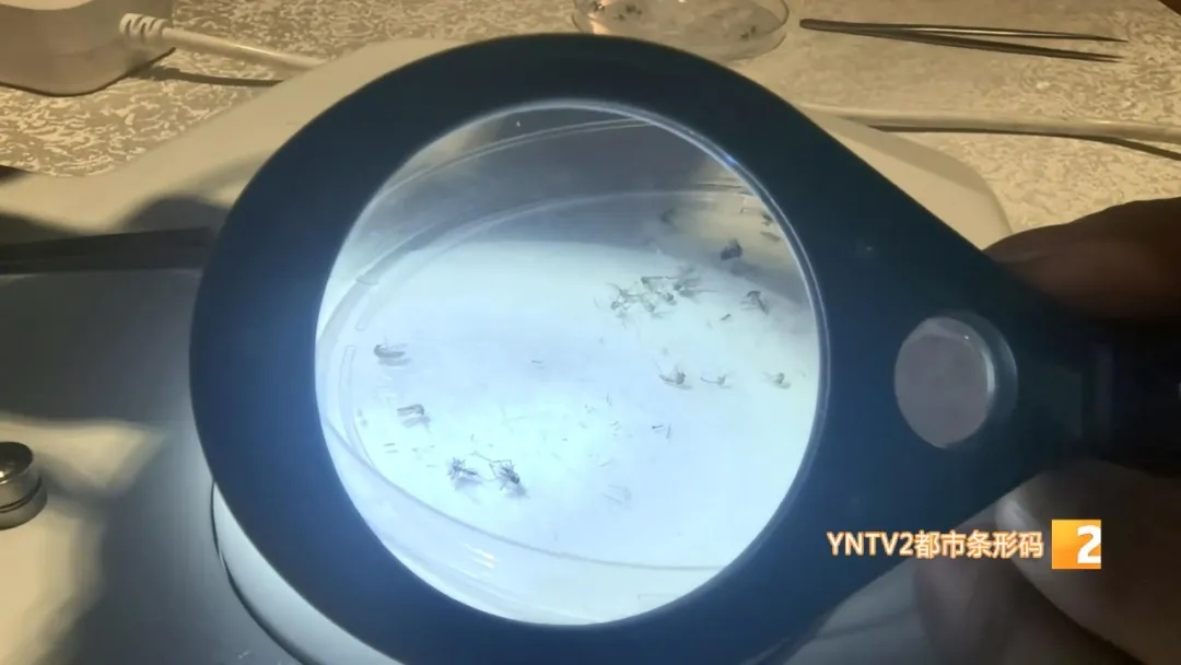 援缅日记：追捕“致命飞行者” 紫外灯下的安全防线