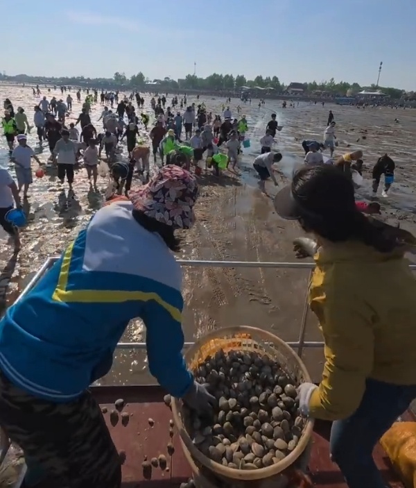 都不能白来！日照景区给赶海游客撒蛤蜊，疯狂“宠粉”