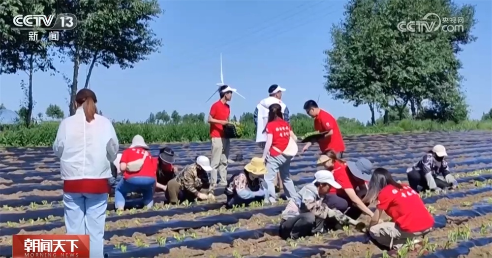 服务西部、“三支一扶”、特岗计划……一系列优惠政策鼓励大学生到基层建功立业