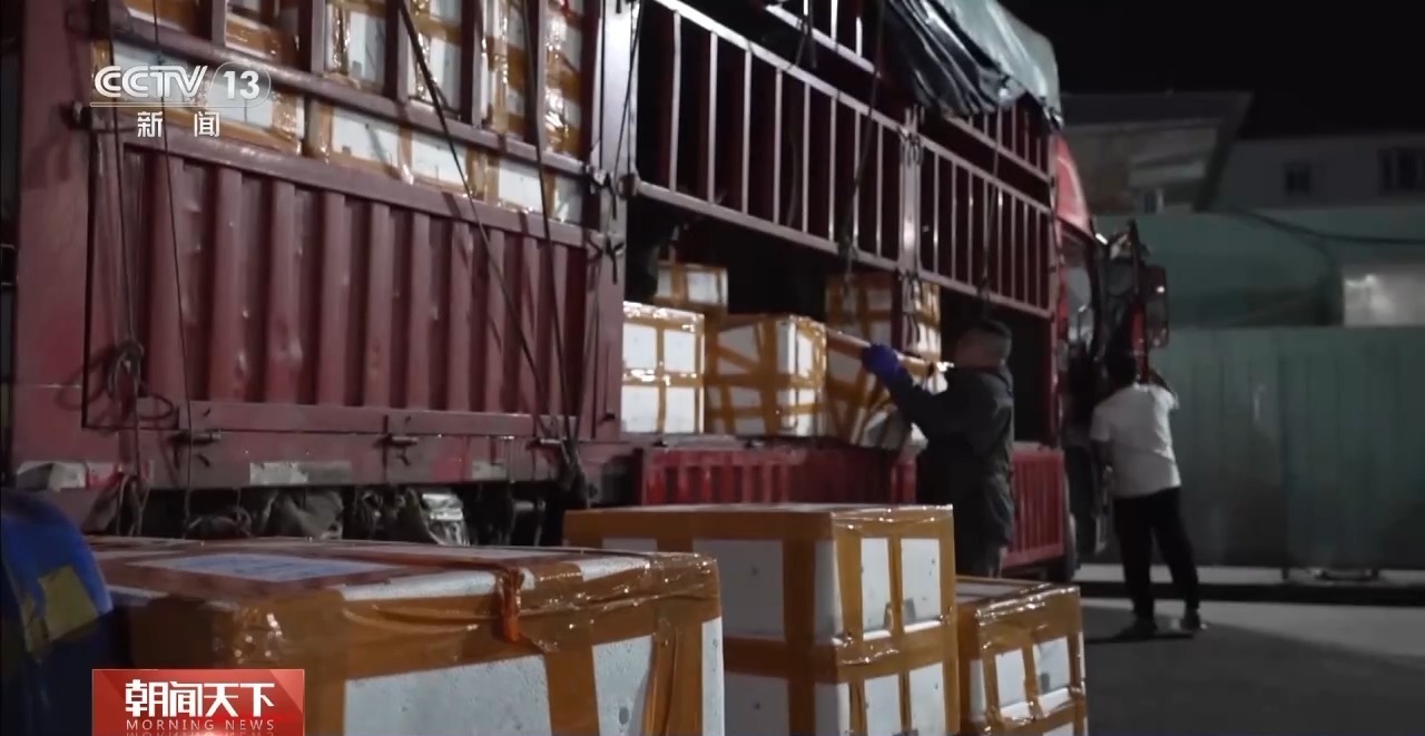 大市场 大活力丨“五一”假日餐桌海鲜热度揭秘 生蚝如何抢“鲜”出发? 大市场 大活力丨“五一”假日餐桌海鲜热度揭秘 生蚝如何抢“鲜”出发?