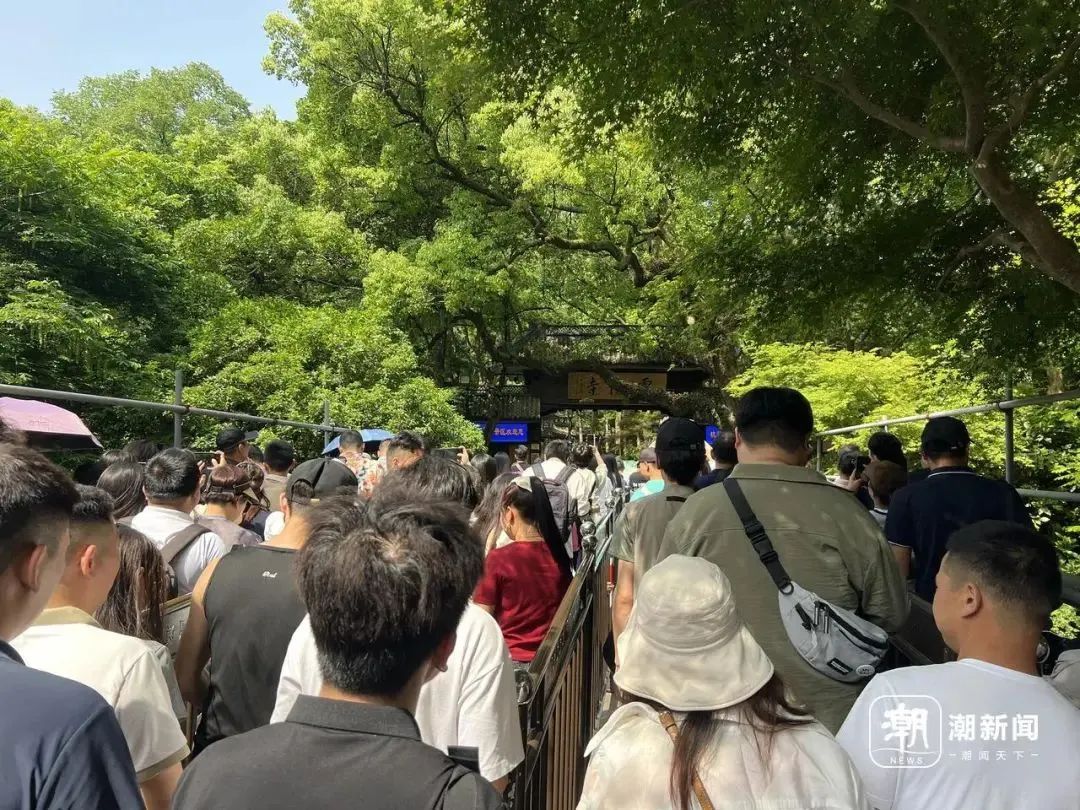 限流！约满！售罄！多地紧急提醒→