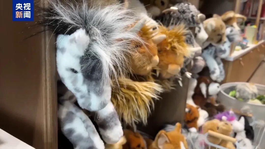 “美国小孩只能有2个玩具了”，特朗普承认货架变空