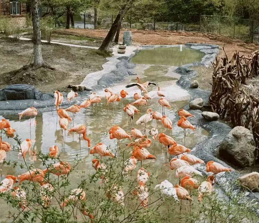 假期首日,长春文旅市场“热力值”拉满 假期首日,长春文旅市场“热力值”拉满