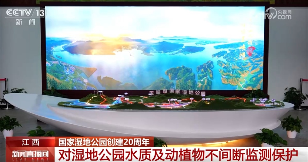 数说国家湿地公园创建20周年“成绩单” “生态+旅游”拓展发展新空间