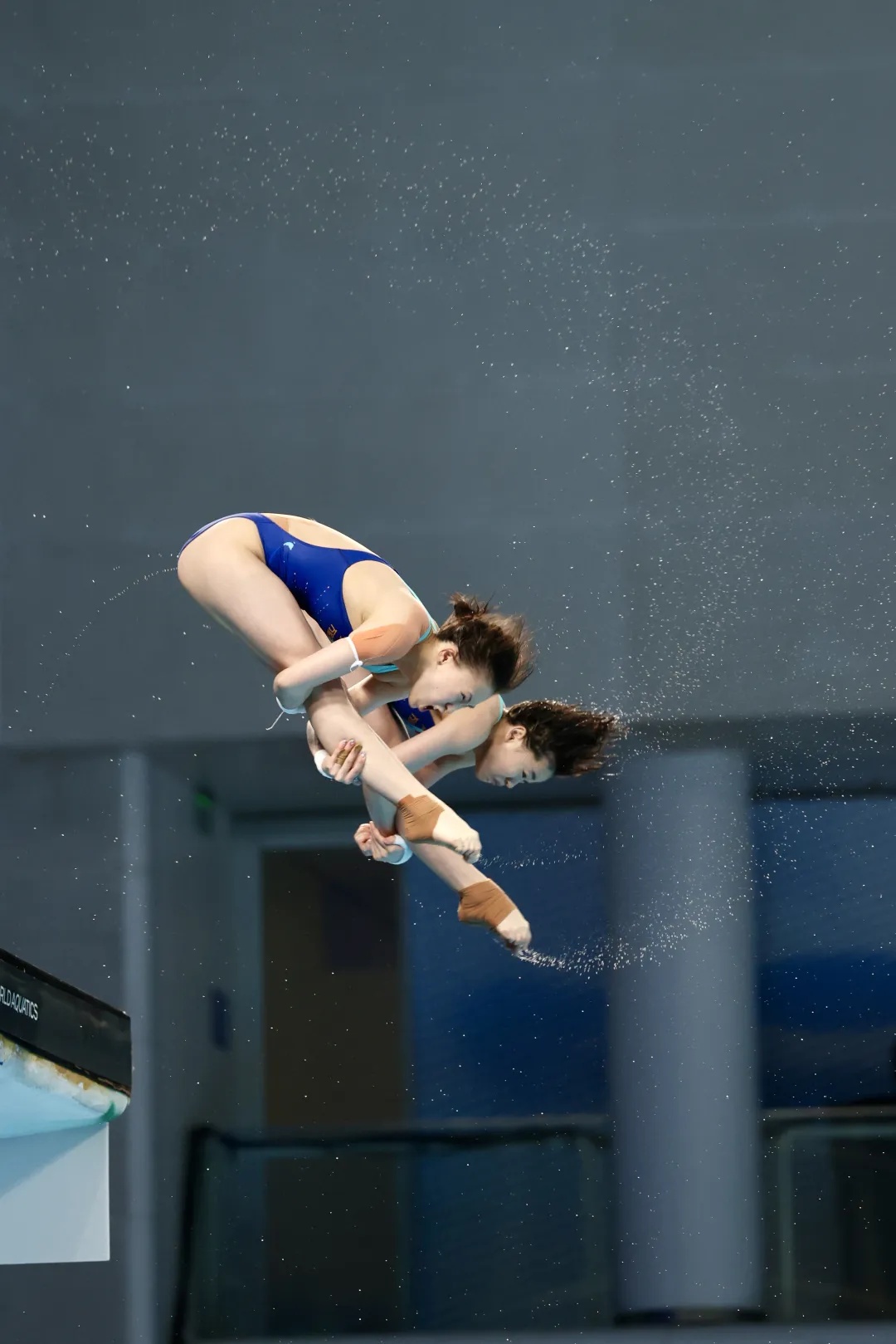 全红婵/陈芋汐,夺冠! 全红婵/陈芋汐,夺冠!