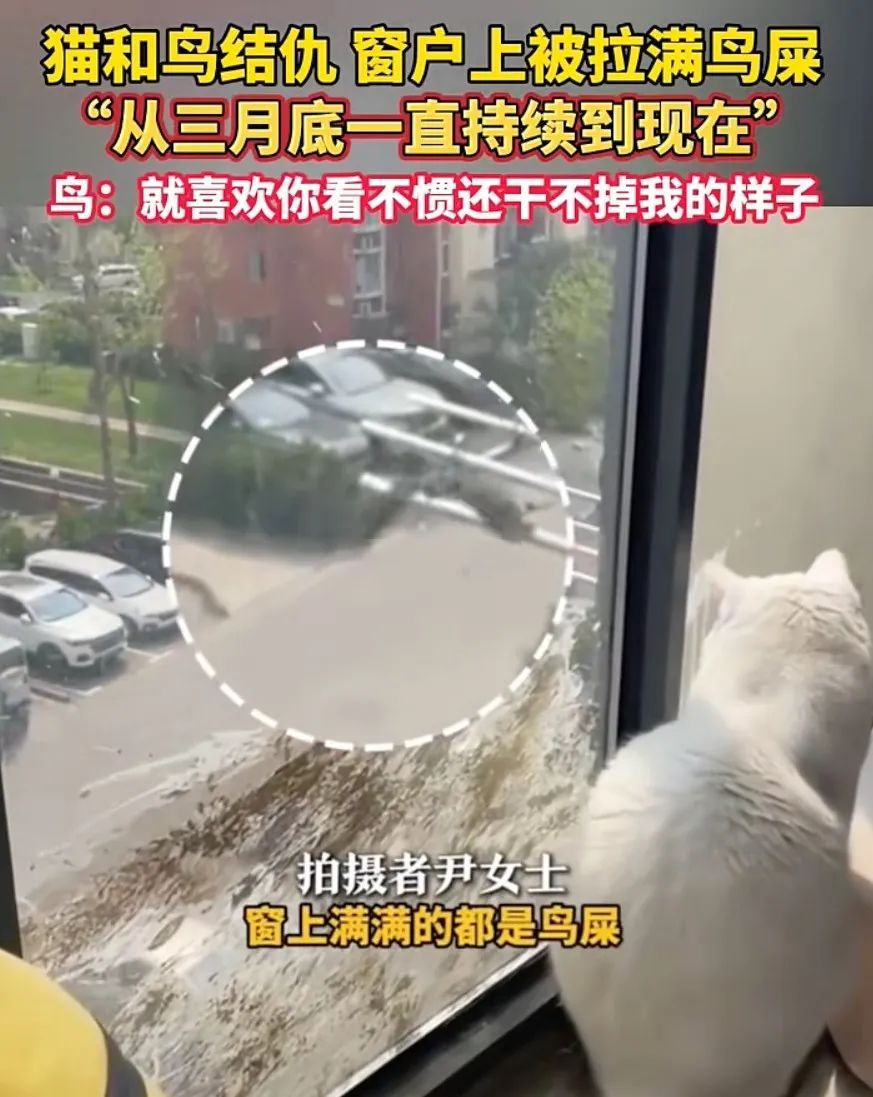 密密麻麻，近期高发！一不留神就中招，广州也有......