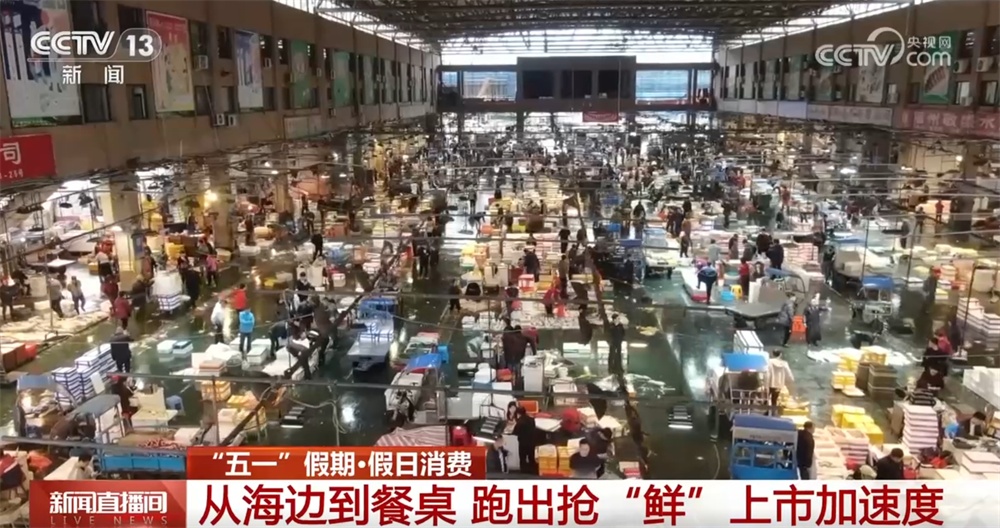 物流、养殖双“给力” 为假日海鲜抢“鲜”上市按下“加速键”