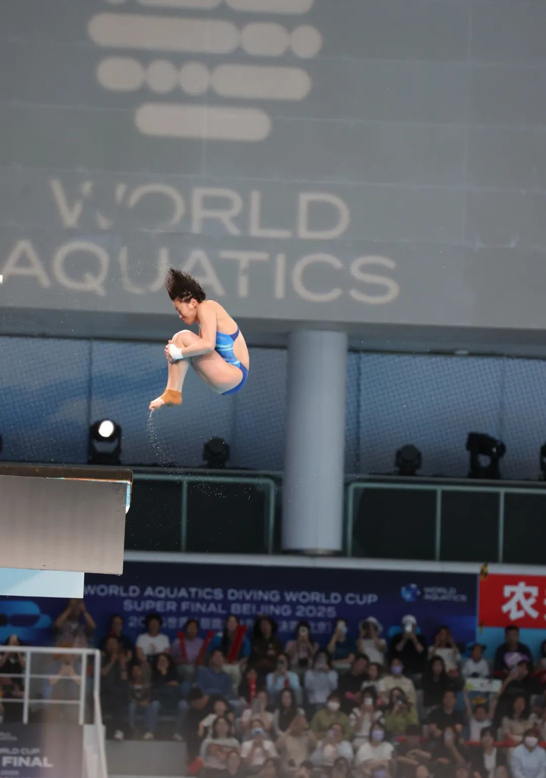 陈芋汐、全红婵包揽金银牌！