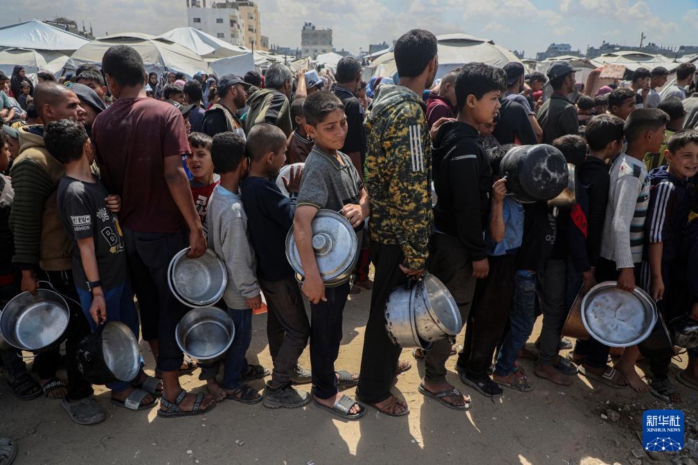 加沙城：领取救助食物