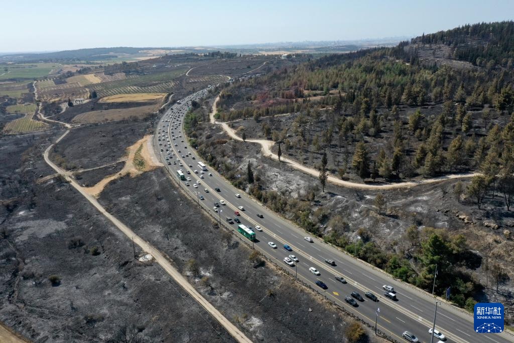 山火过后的耶路撒冷郊区