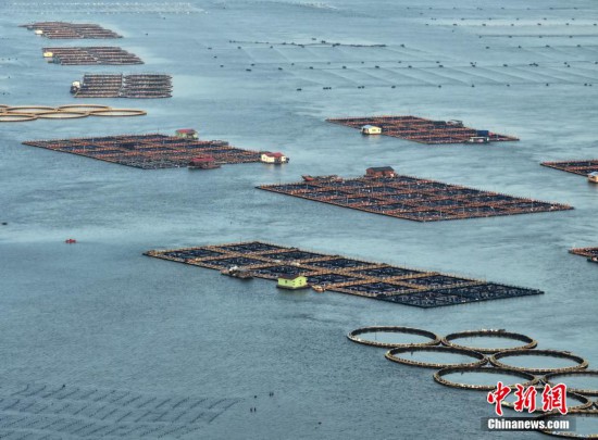 福建福清：“海上田园”如画