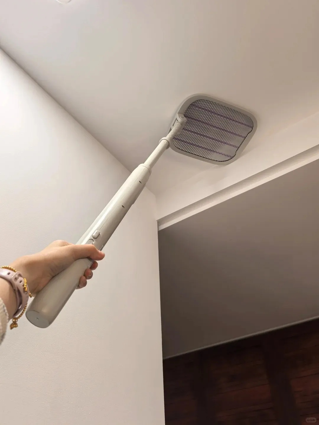 你家卫生间的这种“虫子”,千万不要用手拍 你家卫生间的这种“虫子”,千万不要用手拍