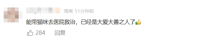 担忧!猫咪掉进露天火锅里,溅伤周围顾客!店家回应 担忧!猫咪掉进露天火锅里,溅伤周围顾客!店家回应