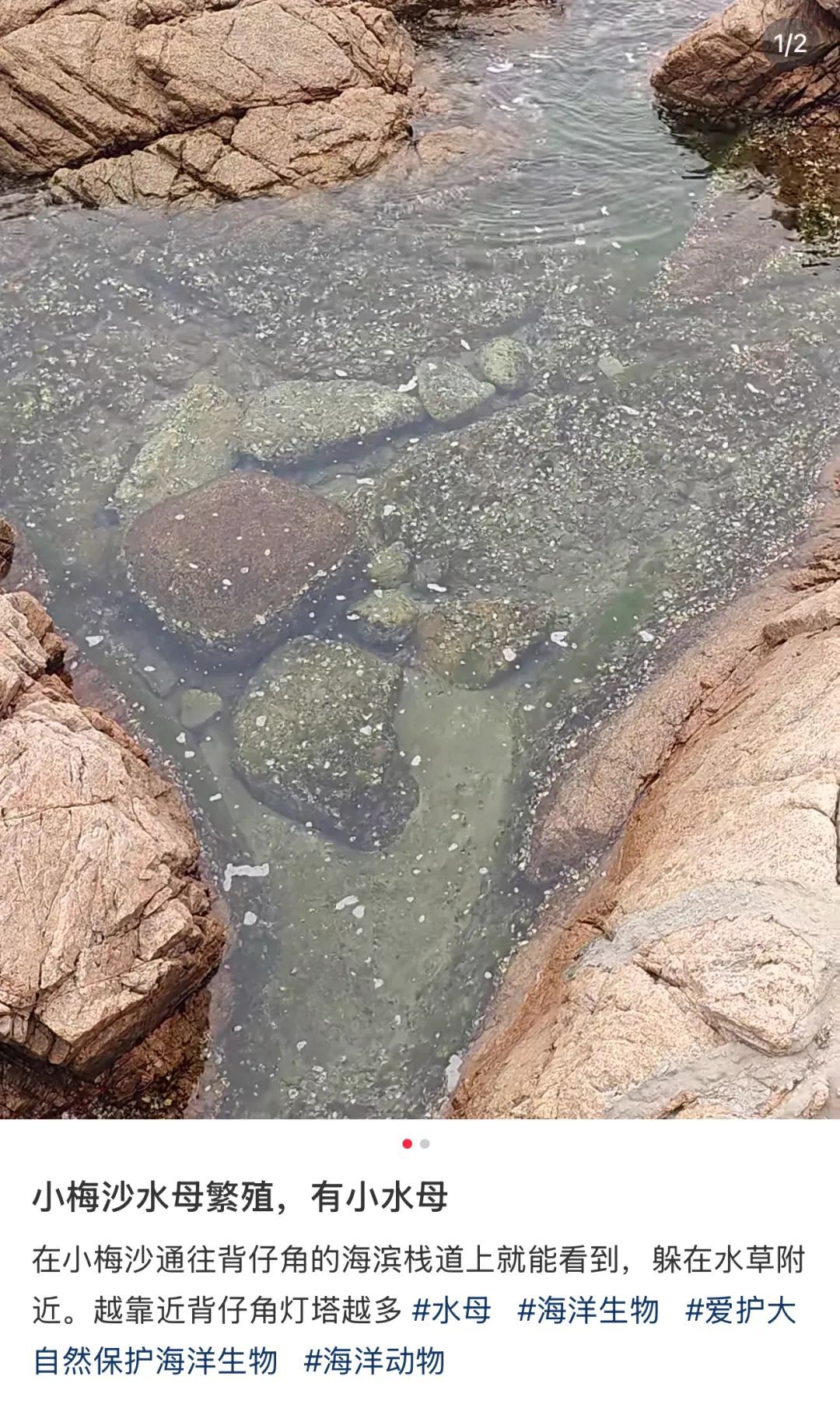 立即远离！外出遇到这种"塑料袋"别碰，有毒！有人伤口溃烂深可见脂肪…