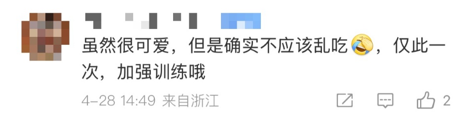 “违规抢夺小朋友烤肠，工作期间不听上级指挥”，警犬福仔被通报
