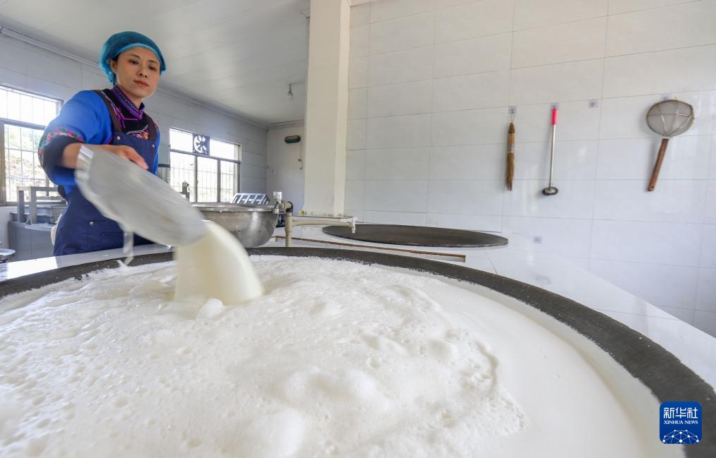 返乡大学生豆腐坊里的创业梦 返乡大学生豆腐坊里的创业梦