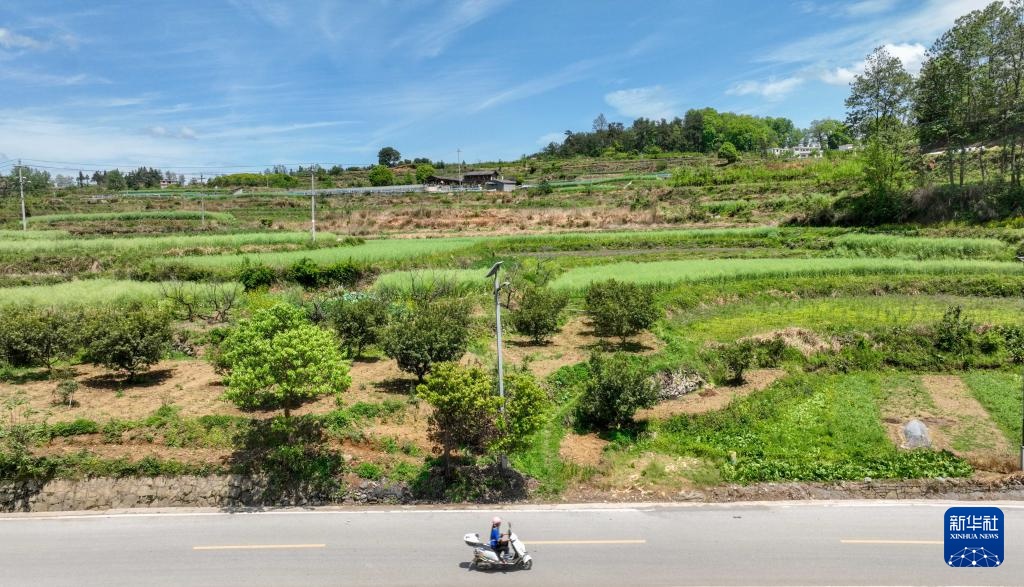 返乡大学生豆腐坊里的创业梦 返乡大学生豆腐坊里的创业梦