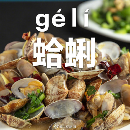 小知识！蛤蜊正确读音