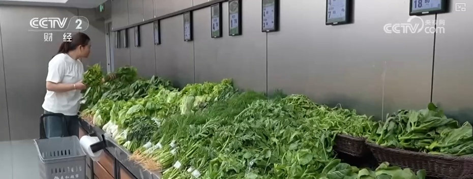 假日“菜篮子”供销两旺 各类时蔬抢“鲜”出海闯出“大市场”