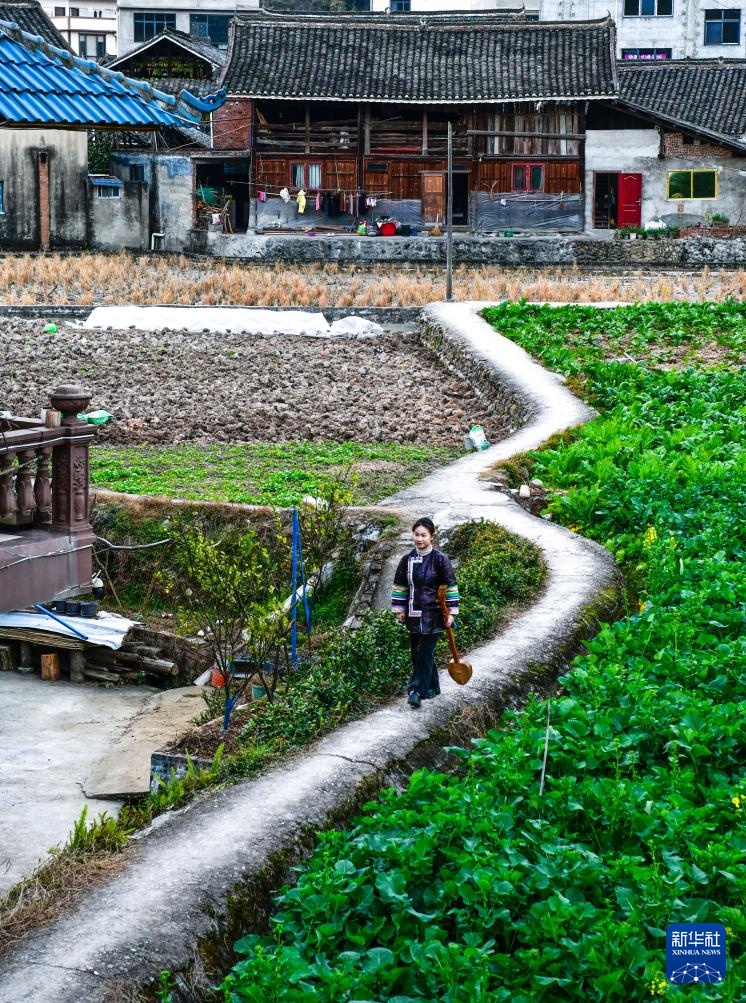图片故事丨侗歌传承背后的青春歌者 图片故事丨侗歌传承背后的青春歌者