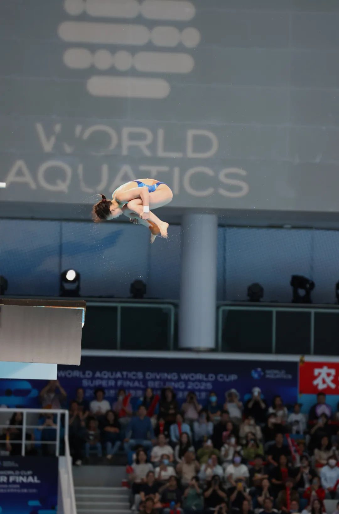 陈芋汐、全红婵包揽金银牌！