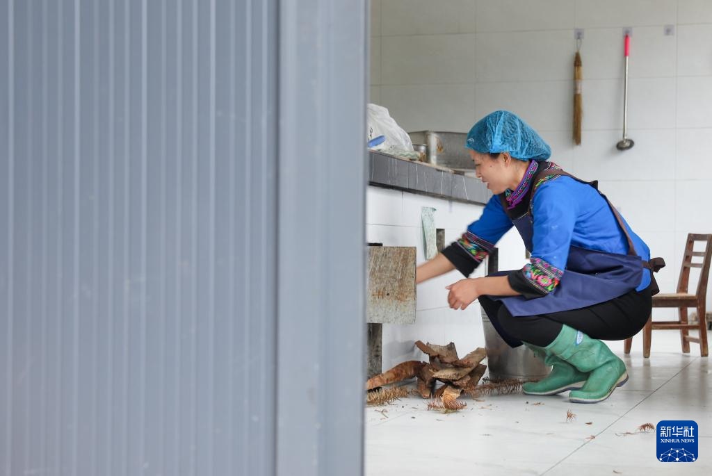 返乡大学生豆腐坊里的创业梦 返乡大学生豆腐坊里的创业梦