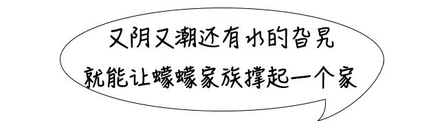 你家卫生间的这种“虫子”,千万不要用手拍 你家卫生间的这种“虫子”,千万不要用手拍