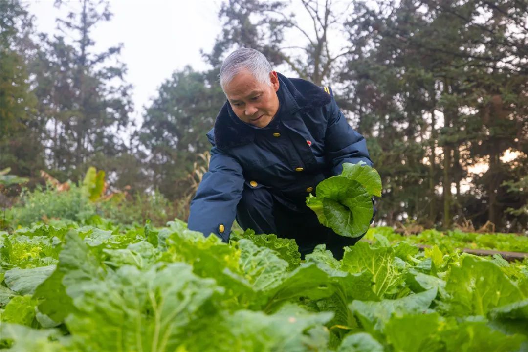 只有5个人的乡间小站,守护安全与温情 只有5个人的乡间小站,守护安全与温情
