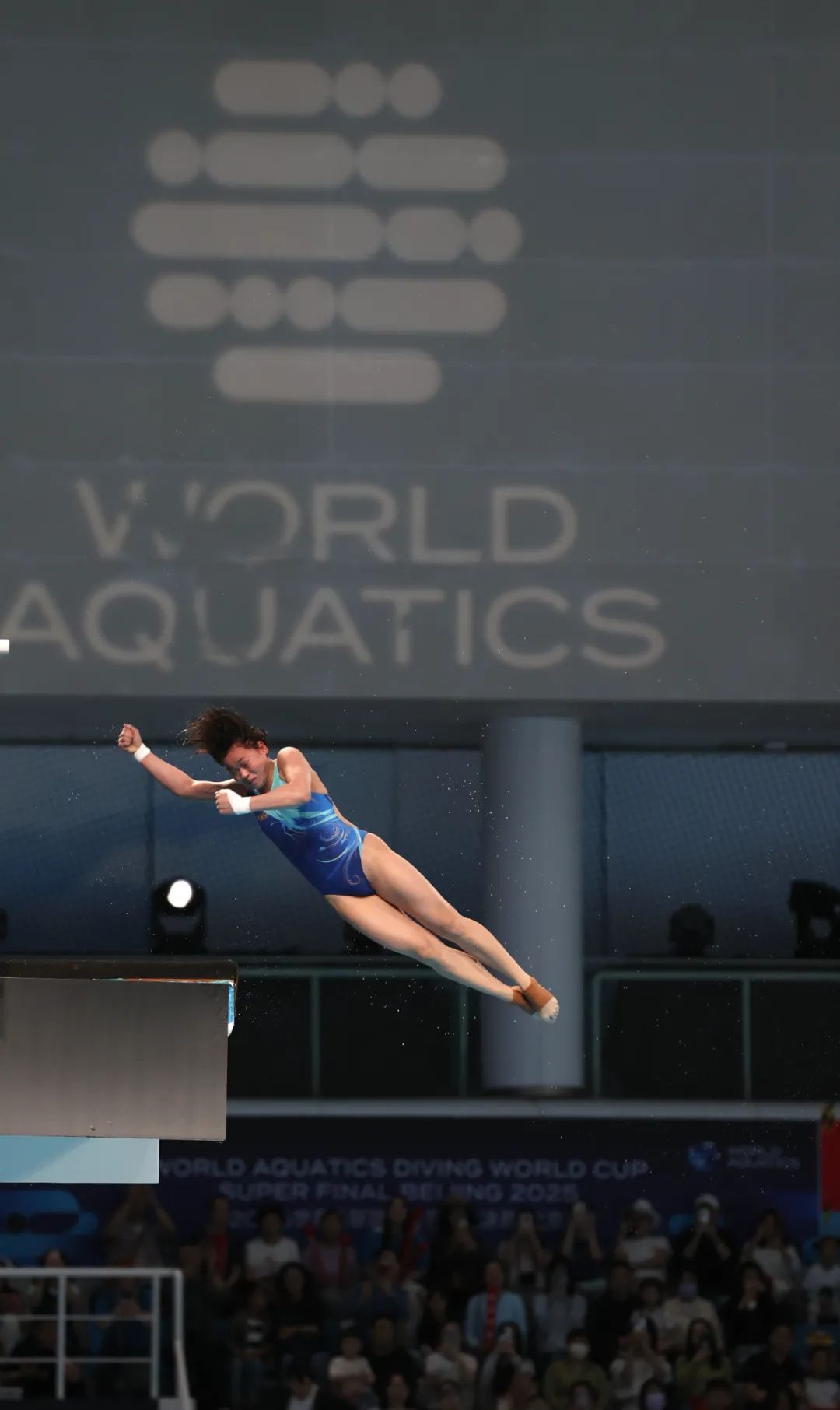 陈芋汐、全红婵包揽金银牌！