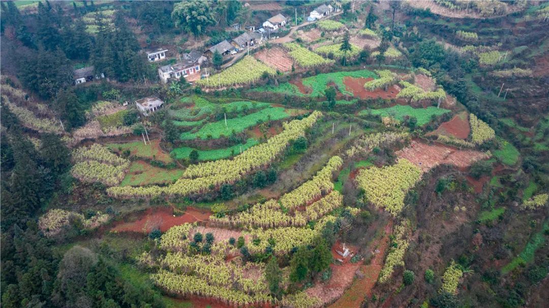 只有5个人的乡间小站,守护安全与温情 只有5个人的乡间小站,守护安全与温情
