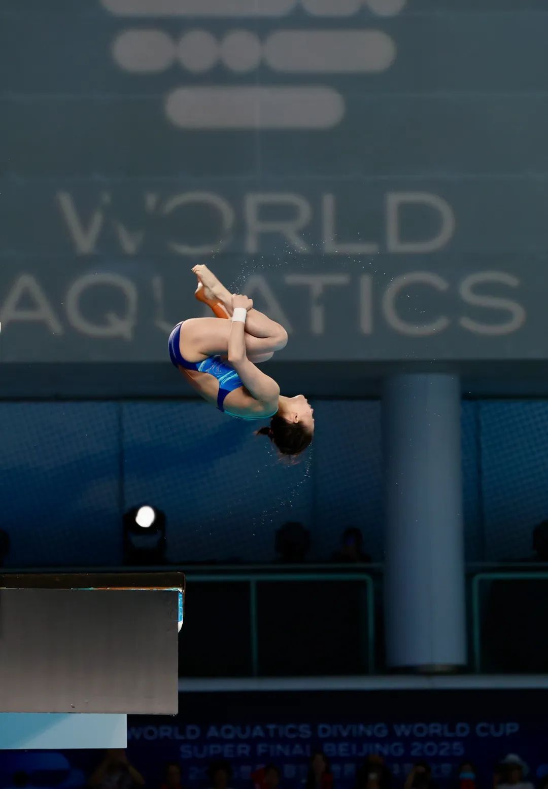 陈芋汐、全红婵包揽金银牌！