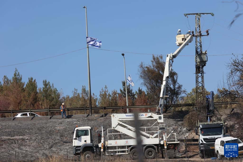 山火过后的耶路撒冷郊区