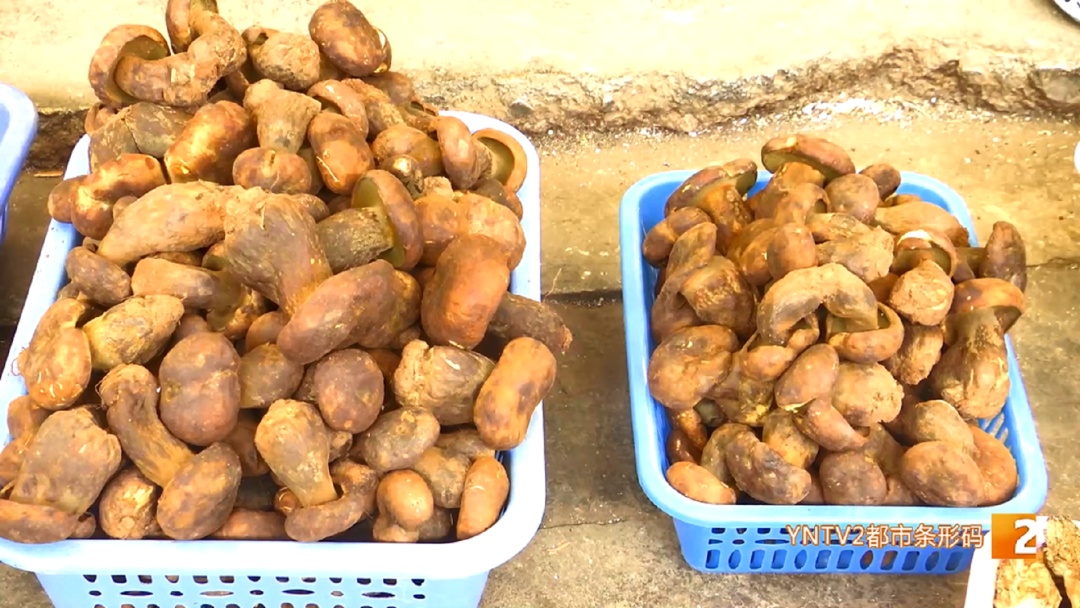 菌子冒头!打头阵的来了,关键是价格降到…… 菌子冒头!打头阵的来了,关键是价格降到……