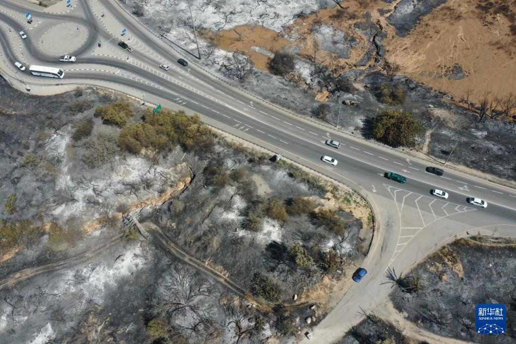 山火过后的耶路撒冷郊区