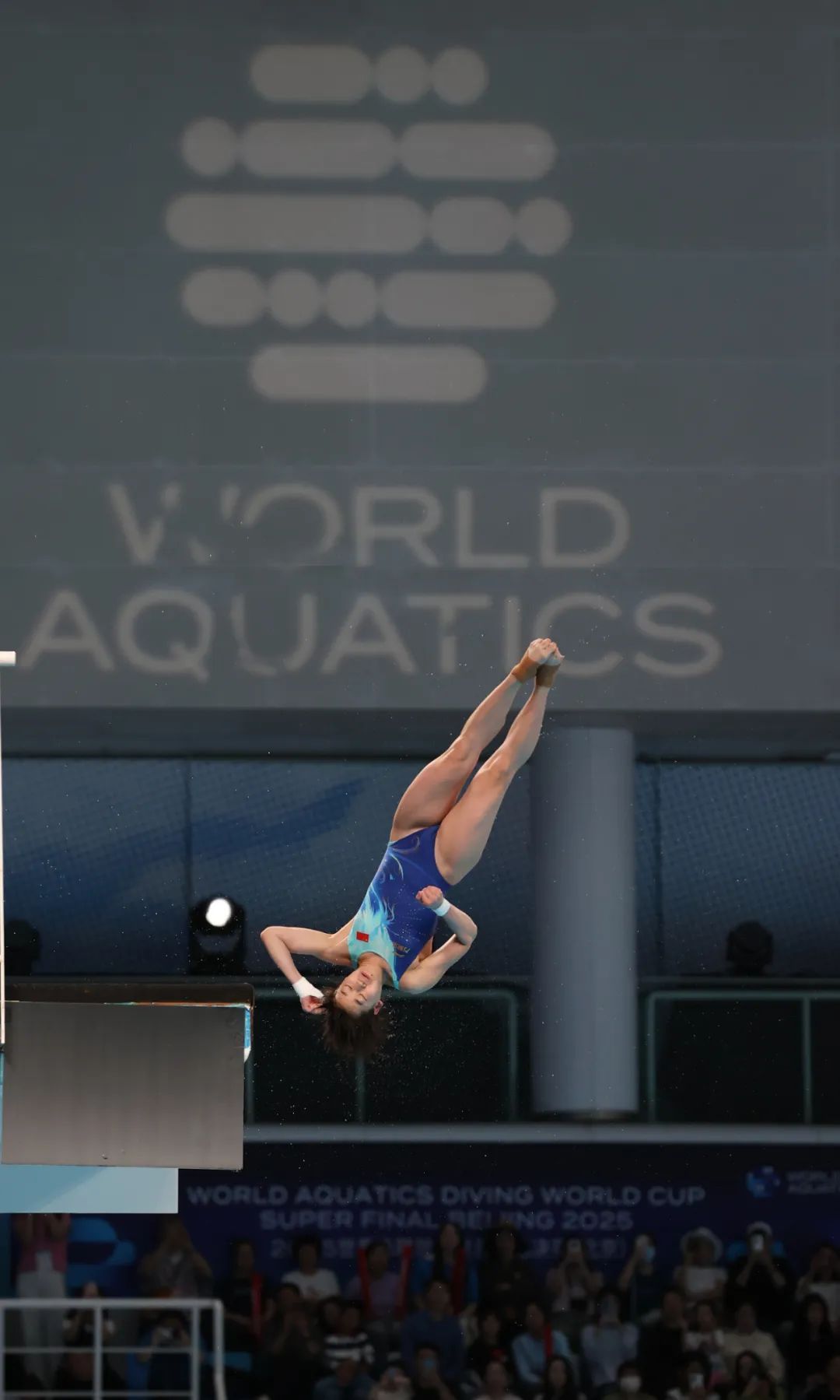 陈芋汐、全红婵包揽金银牌！