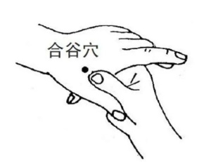 晕车、晕机、晕船?除了吃晕车药,还可以按揉这些穴位缓解! 晕车、晕机、晕船?除了吃晕车药,还可以按揉这些穴位缓解!