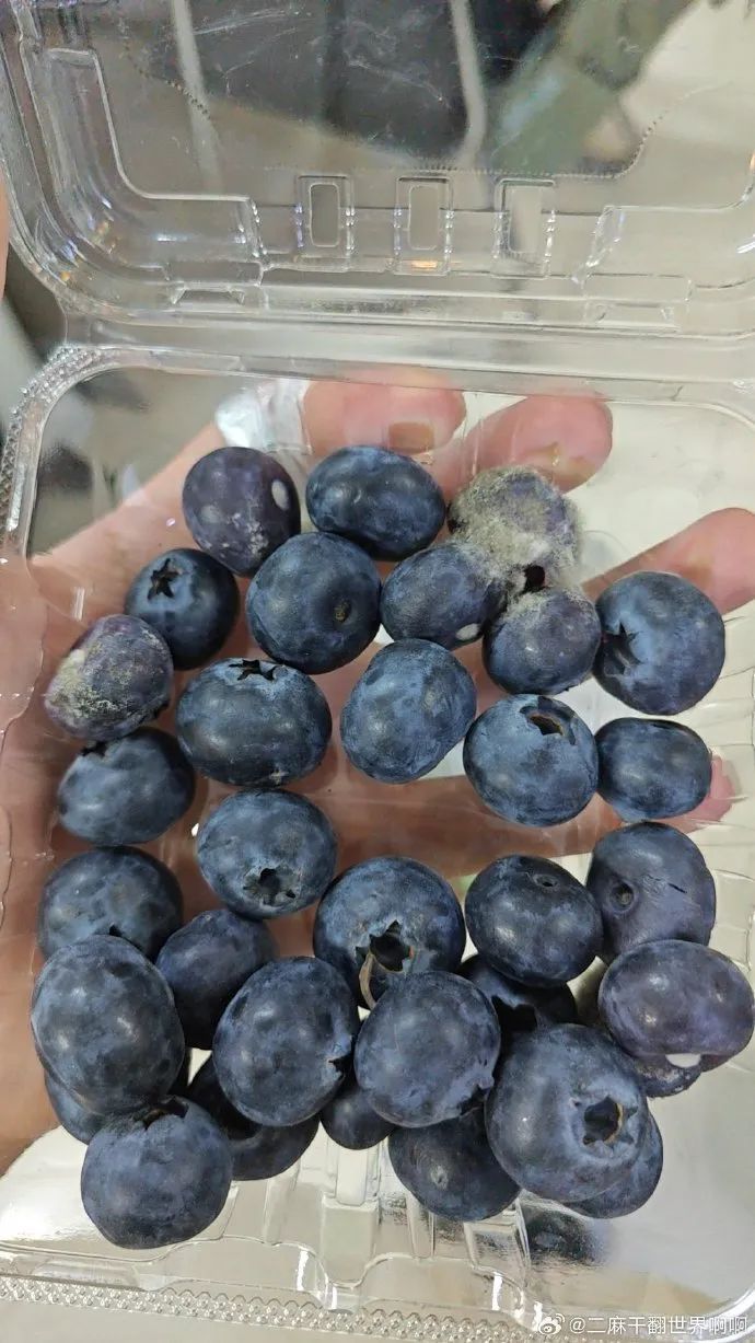 冲上热搜！这种水果“肚脐眼”有霉菌？网友：天天都吃