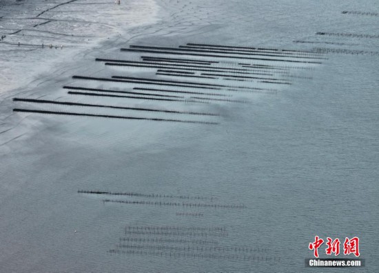 福建福清：“海上田园”如画